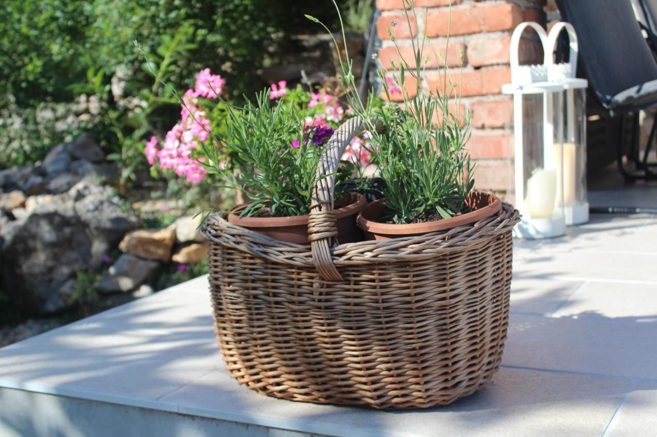 Villa Calma, Recharge Your Body And Mind Gabonjin Εξωτερικό φωτογραφία