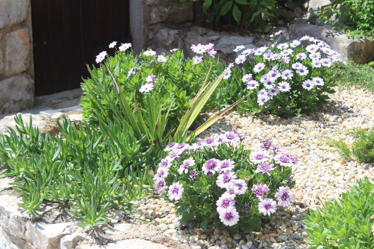 Villa Calma, Recharge Your Body And Mind Gabonjin Εξωτερικό φωτογραφία